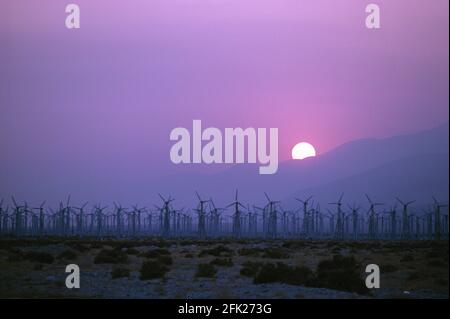 États-Unis. Californie. Parc éolien de Palm Springs. Turbines au coucher du soleil. Banque D'Images