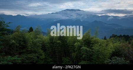 Paysage de la vallée de la montagne. Forêt verte japonaise. Vue sur le sentier Nakasendo. Chemin et randonnée dans la vallée de Kiso. Panorama sur les montagnes de Magome, Japon. Arrière-plan. Banque D'Images