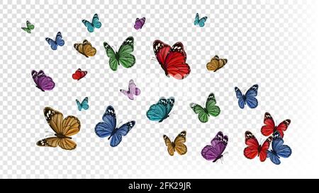 Papillons volants. Papillon coloré isolé sur fond transparent. Illustration vectorielle d'insectes de printemps et d'été Illustration de Vecteur