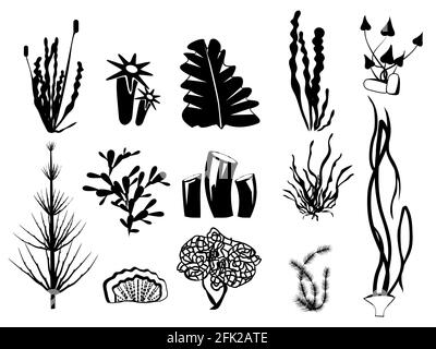 Silhouettes d'algues. Sous-marin plantes de rivière algues océan botanique faune vecteur symboles graphiques Illustration de Vecteur