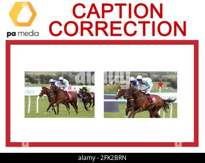 CORRECTION DE LÉGENDE - correction du vainqueur de la course de Great Bear et Darragh O'Keeffe à Cousin Harry monté par P J O?Hanlon. Légende à lire - le cousin Harry criblé par P J O?Hanlon (à droite) remporte l'hading the conversation Say to Organ Donation novice Handicap hangdle pendant le premier jour du Punchestown Festival à l'hippodrome de Punchestown dans le comté de Kildare, en Irlande. Date de publication : le mardi 27 avril 2021. Banque D'Images