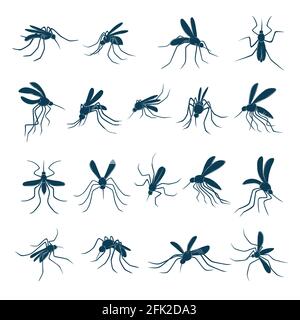 Moustique volant. Petits insectes de sang porteurs de virus silhouettes vecteur dessiné ensemble Illustration de Vecteur