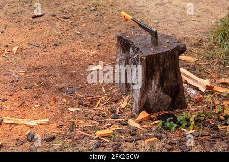 hache à manche jaune avec lame coincée dans une souche d'arbre utilisé pour hacher du bois avec des copeaux de bois éparpillés le sol Banque D'Images