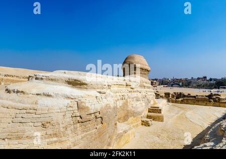 Vue arrière de la tête de l'emblématique sculpture monumentale, le Grand Sphinx de Gizeh, plateau de Gizeh, le Caire, Egypte Banque D'Images