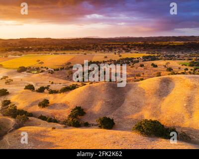 Coucher de soleil sur le vignoble Firestone, vallée de Santa Ynez, Californie Banque D'Images