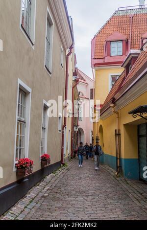 TALLINN, ESTONIE - 22 AOÛT 2016 : petite rue pavée Rahukohtu dans le quartier de Toompea à Tallinn. Banque D'Images