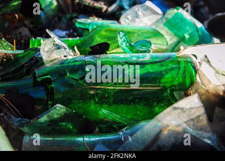 Bouteilles de verre cassées, décharge dans la forêt, problème de pollution Banque D'Images