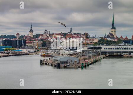 Port de ferry et une ligne d'horizon de Tallinn, Estonie Banque D'Images