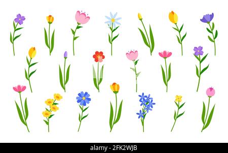 Ensemble de fleurs sur tige verte avec feuille. Décor romantique fleuri de différentes couleurs. Plante de fleur d'été. Tulipe, rose ou camomille. Fleur simple de style dessin animé plat. Isolé sur une illustration vectorielle blanche Illustration de Vecteur