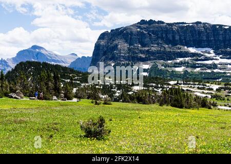 Paysage alpin à Logan Pass dans le parc national de Glacier, États-Unis Banque D'Images