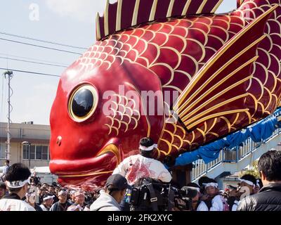 Caratsu, Japon - 3 novembre 2016 : la cérémonie d'Otabisho Shinko est le principal événement du festival de Caratsu Kunchi; des flotteurs massifs et colorés sont tirés thr Banque D'Images