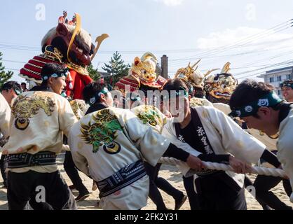 Caratsu, Japon - 3 novembre 2016 : la cérémonie d'Otabisho Shinko est le principal événement du festival de Caratsu Kunchi; des flotteurs massifs et colorés sont tirés thr Banque D'Images