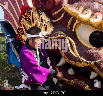 Caratsu, Japon - 3 novembre 2016 : le participant au festival de Karatsu Kunchi s'éroule sur un énorme flotteur de festival Banque D'Images