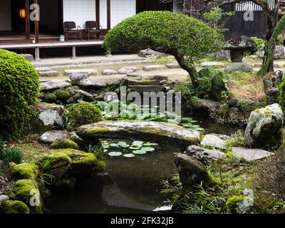 Kitsuki, Japon - 31 octobre 2016 : jardin japonais traditionnel avec étang à Ohara, ancienne résidence samouraï Banque D'Images