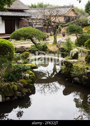 Kitsuki, Japon - 31 octobre 2016 : jardin japonais traditionnel avec étang à Ohara, ancienne résidence samouraï Banque D'Images