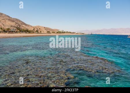 Vue sur le récif de corail au-dessus de l'eau. La mer Rouge. Plage dans la ville d'Eilat, Israël Haut ange. Photo de haute qualité Banque D'Images
