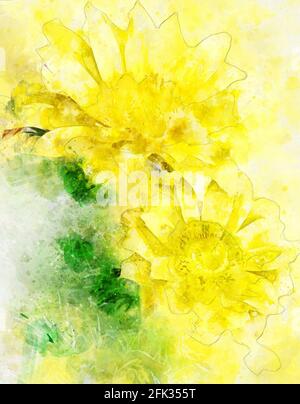 Aquarelle de la fleur de l'œil du faisan (Adonis vernalis) en pleine floraison. Banque D'Images