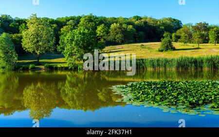 Poznan, Pologne - 5 juin 2015 : vue panoramique sur le lac et le paysage forestier du nouveau ZOO jardin zoologique dans le district de Malte Banque D'Images