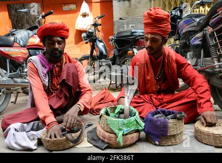 Charmeurs de serpents indiens traditionnels divertissant le courbé dans la vieille ville de Varanasi, Inde. Banque D'Images