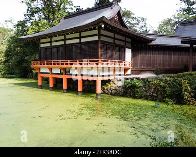 Sanctuaire de shinto japonais et étang vert aux Etats-Unis Jingu, préfecture d'Oita Banque D'Images