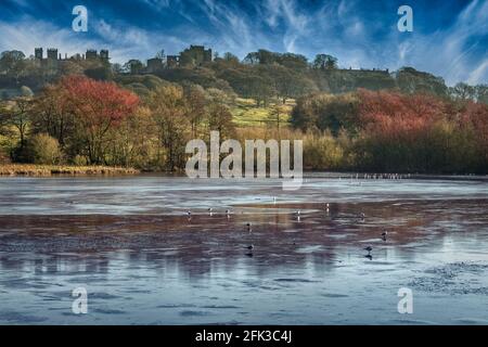 Le Grand étang couvert de glace, à Hardwick Hall Estate dans le Derbyshire. Banque D'Images