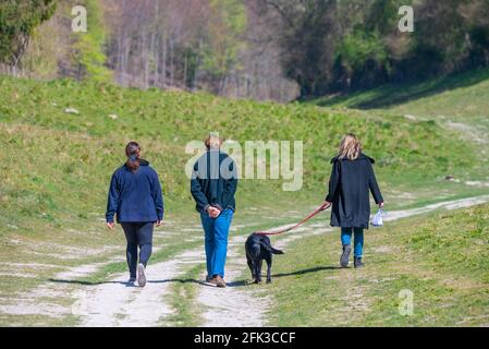 Petit groupe de 3 personnes marchant un chien sur l'herbe dans la campagne britannique à Spring à West Sussex, Angleterre, Royaume-Uni. Banque D'Images