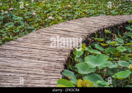 Passerelle en bois fabriquée à partir de vieux rondins gris Banque D'Images