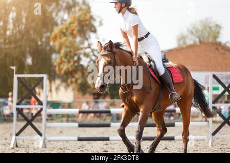 Jeune fille tapotant le cheval après le parcours de saut de spectacle Banque D'Images