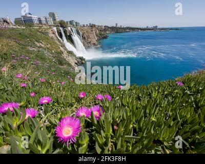 Fleurs roses avec les chutes de Lower Düden descendant d'une falaise rocheuse tombant d'environ 40 m dans la mer Méditerranée dans des nuages d'eau étonnants Banque D'Images