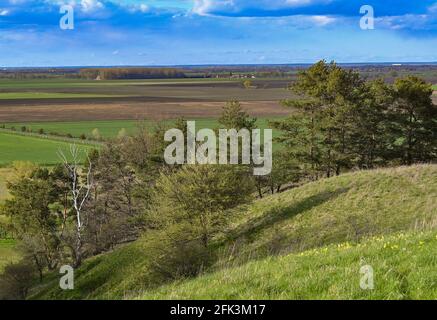 Malnow, Allemagne. 25 avril 2021. Le soleil du soir brille sur le paysage au bord de l'Oderbruch dans le quartier de Märkisch-Oderland. Credit: Patrick Pleul/dpa-Zentralbild/ZB/dpa/Alay Live News Banque D'Images