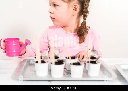 Petite fille plantant des graines dans des dosettes de café pour démarrer un jardin de légumes intérieur. Banque D'Images