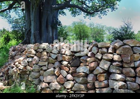 Le site du patrimoine Thulamela dans le parc national Kruger date En arrière plus de 400 ans et est lié à la Mapungubwe Site du patrimoine mondial Banque D'Images