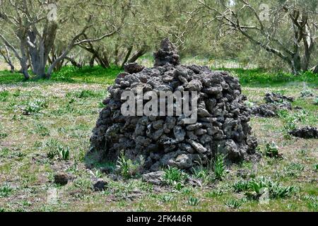 La culture et la nature en Sicile voyagent des roches de lave empilées Le sol labouré dans le parc Etna Banque D'Images