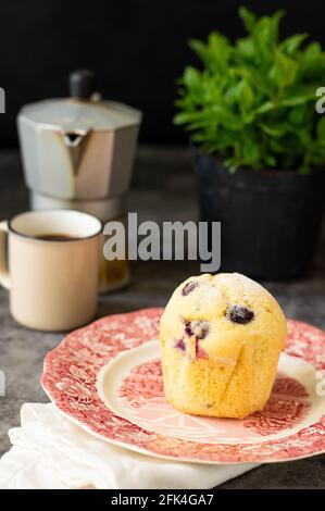 Muffins aux myrtilles sur fond gris et noir. Cafetière à l'arrière, avec une tasse et une plante de menthe Banque D'Images