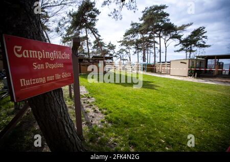 Pepelow, Allemagne. 22 avril 2021. Emplacements vides pour caravanes et tentes au camping 'sans Pepelone'. En raison des mesures de protection de Corona, les campings de Mecklembourg-Poméranie-Occidentale sont actuellement fermés, même les campeurs permanents ne sont pas autorisés à passer la nuit dans leurs caravanes ou tentes. Credit: Jens Büttner/dpa-Zentralbild/ZB/dpa/Alay Live News Banque D'Images