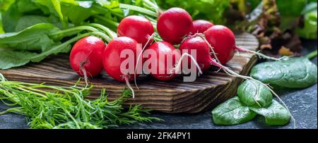 Aliments santé issus de salat de printemps biologique agricole Banque D'Images