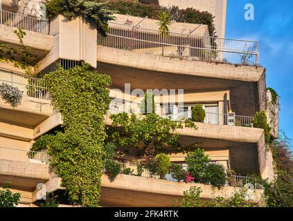 Le bâtiment Oasis, de Fernando Higueras, est un bâtiment résidentiel en béton avec d'immenses vignes suspendues aux balcons. Madrid, Espagne. Banque D'Images