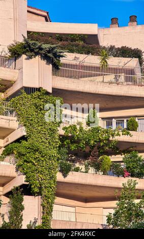 Le bâtiment Oasis, de Fernando Higueras, est un bâtiment résidentiel en béton avec d'immenses vignes suspendues aux balcons. Madrid, Espagne. Banque D'Images