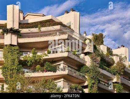 Le bâtiment Oasis, de Fernando Higueras, est un bâtiment résidentiel en béton avec d'immenses vignes suspendues aux balcons. Madrid, Espagne. Banque D'Images