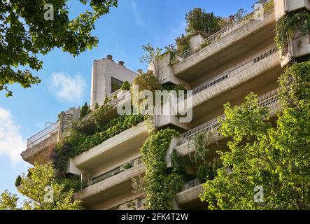 Le bâtiment Oasis, de Fernando Higueras, est un bâtiment résidentiel en béton avec d'immenses vignes suspendues aux balcons. Madrid, Espagne. Banque D'Images