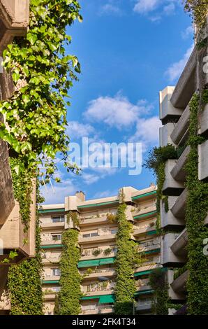 Le bâtiment Oasis, de Fernando Higueras, est un bâtiment résidentiel en béton avec d'immenses vignes suspendues aux balcons. Madrid, Espagne. Banque D'Images