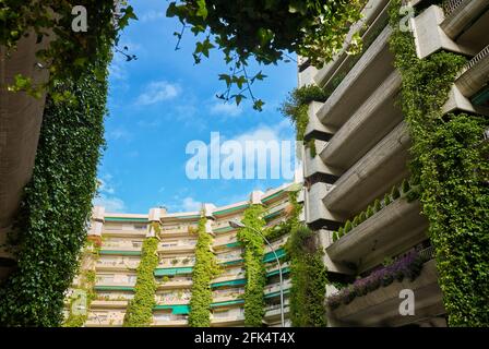 Le bâtiment Oasis, de Fernando Higueras, est un bâtiment résidentiel en béton avec d'immenses vignes suspendues aux balcons. Madrid, Espagne. Banque D'Images