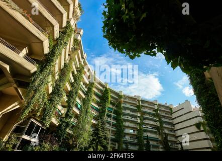 Le bâtiment Oasis, de Fernando Higueras, est un bâtiment résidentiel en béton avec d'immenses vignes suspendues aux balcons. Madrid, Espagne. Banque D'Images