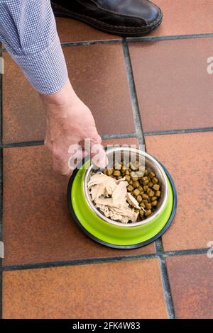 Un plat de nourriture pour chiens placé sur le sol. - poulet cuit et croquettes sèches Banque D'Images