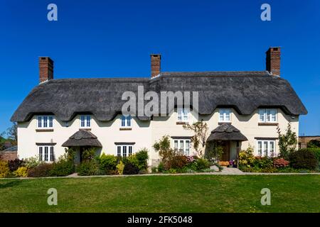 Angleterre, Dorset, Tolpuddle, rangée de maisons de toit de chaume *** Légende locale *** Royaume-Uni,Grande-Bretagne,Grande-Bretagne,Angleterre,Britannique,Anglais,Dorset, Banque D'Images