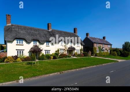 Angleterre, Dorset, Tolpuddle, rangée de maisons de toit de chaume *** Légende locale *** Royaume-Uni,Grande-Bretagne,Grande-Bretagne,Angleterre,Britannique,Anglais,Dorset, Banque D'Images