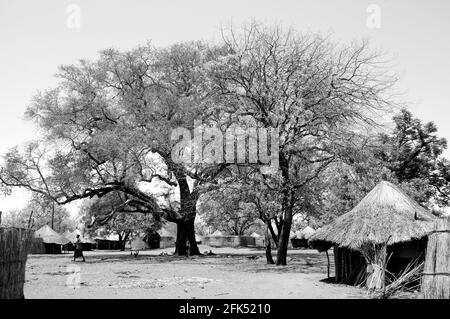 Afrique, Afrique centrale du Sud, Zambie, Livingstone, Mukini Village, Banque D'Images