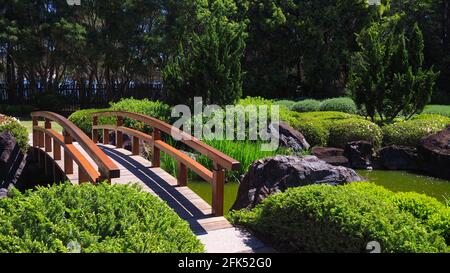 GOSFORD, AUSTRALIE - 05 octobre 2020 : vue sur un pont japonais qui s'étend sur un lac dans le jardin commémoratif japonais d'Edogawa sur une source chaude Banque D'Images