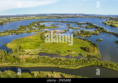 Vogelinsel - l'île d'oiseau sur Altmühlsee Banque D'Images