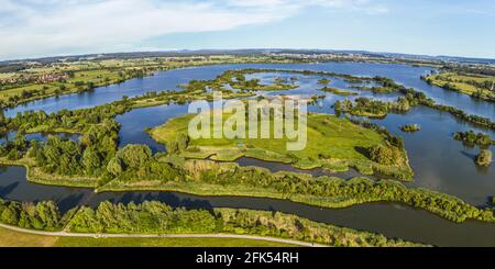 Vogelinsel - l'île d'oiseau sur Altmühlsee Banque D'Images